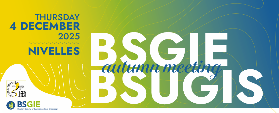 BSGIE - BSUGIS Autumn meeting 2025