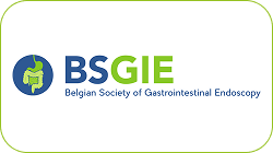 BSGIE LOGO